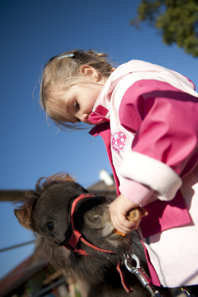 Begegnungshof Regina Eisl, Wals bei Salzburg | Zentrum für tiergestützte Pädagogik, Therapie & soziale Arbeit Begegnungshof Regina Eisl, Wals bei Salzburg | Zentrum für tiergestützte Pädagogik, Therapie & soziale Arbeit